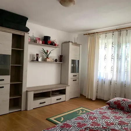 Casa Oana *